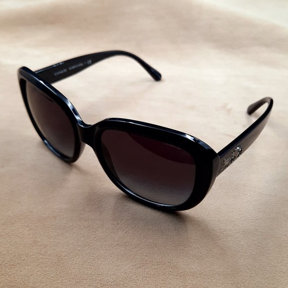 Coach Sunglasses HC8207 Black - Picture 5 of 8